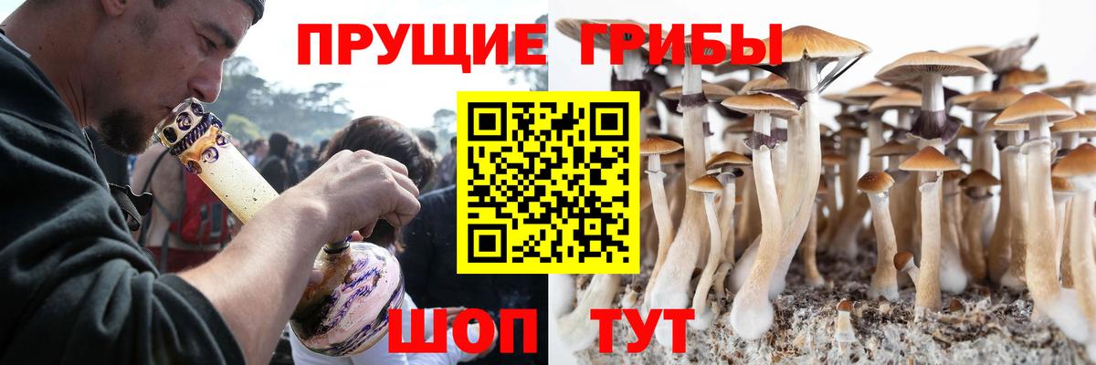 Псилоцибиновые грибы Cubensis Сатка
