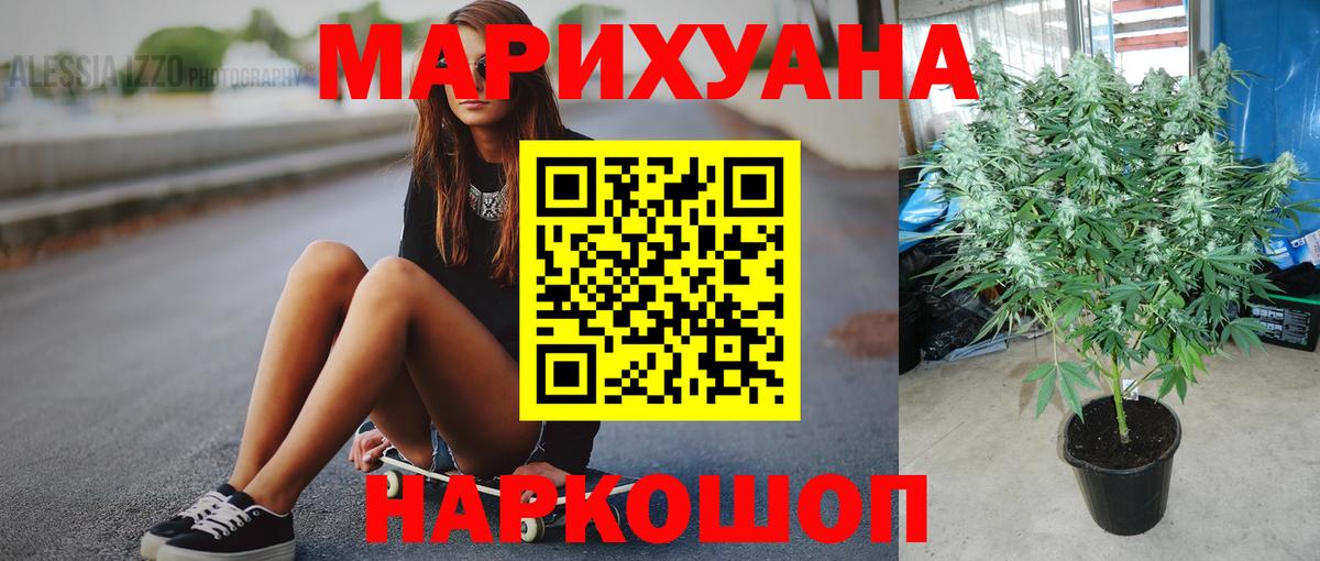 Шишки марихуана OG Kush  Вход с VPN  Марихуана MAZAR  Бошки Шишки семена  Сатка 